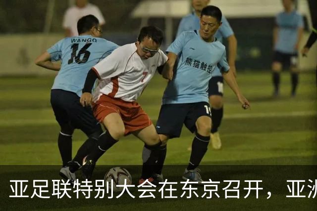 亚足联特别大会在东京召开，亚洲杯将调整为偶数年举办
